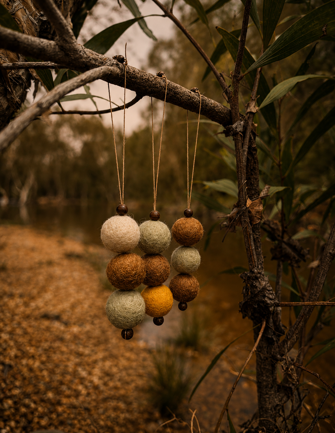 Kakadu Plum