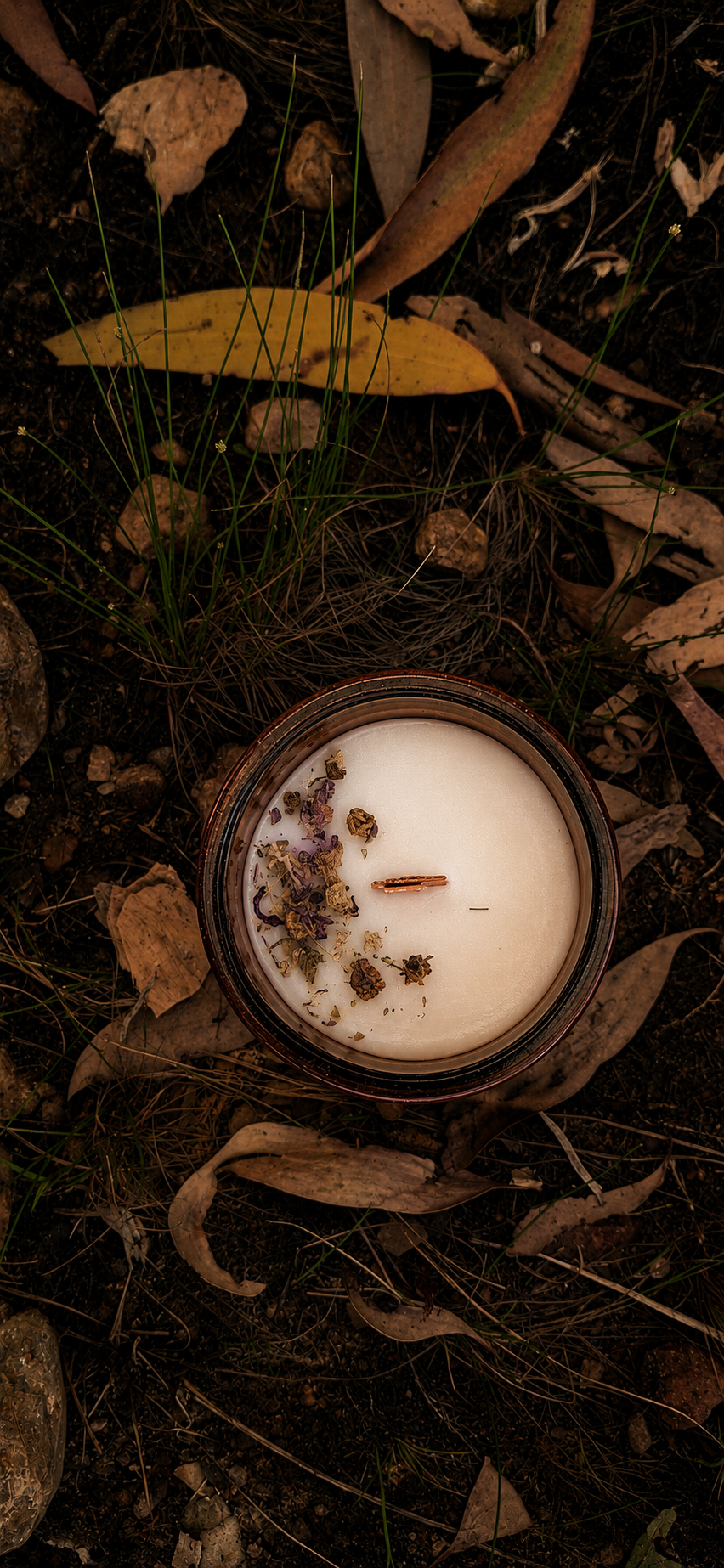 Lolly Shop